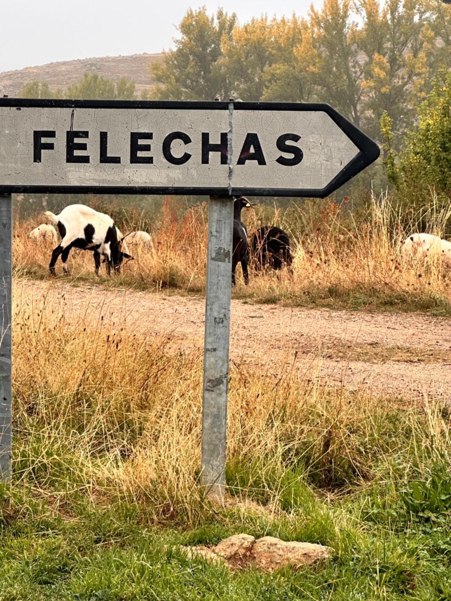 Los Tres Horreos Felechas Kültér fotó
